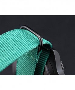 Ion-plated cutwork bezel with ceramic top green minute markers
