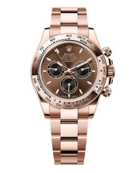 Rolex Daytona 126505 Bright Chocolate